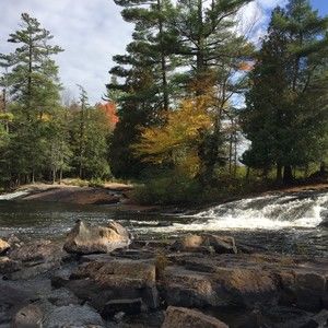 Meet your Posher, Lara